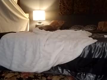 girl
        honeyhive_4u cam image #4351805
