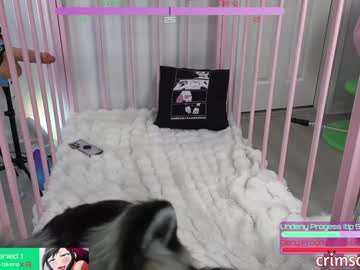 girl
        crimsonkitten cam image #5838980