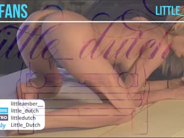 girl
        little_dutch cam image #884027