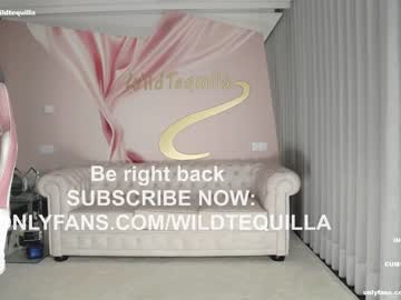 girl
        wildtequilla cam image #2107930