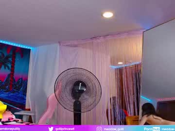 girl
        siclianprincess cam image #3625619