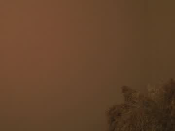 girl
        wendy_amber cam image #2726625