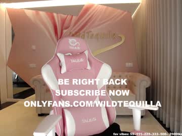 girl
        wildtequilla cam image #9428