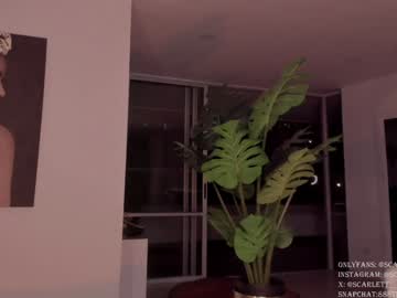 girl
        scarlett__baker11 cam image #5571403