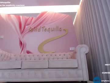 girl
        wildtequilla cam image #1355036