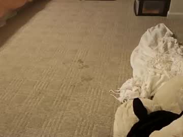 girl
        bunnynextdoor cam image #4337506