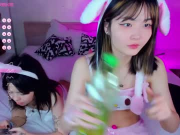 girl
        tiny_sora cam image #885625