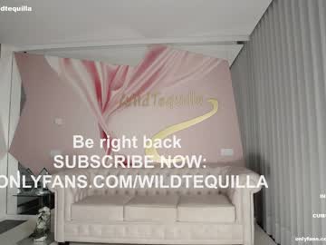 girl
        wildtequilla cam image #1950511