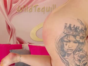 girl
        wildtequilla cam image #6361507