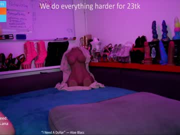 girl
        ana__lingus cam image #1627215