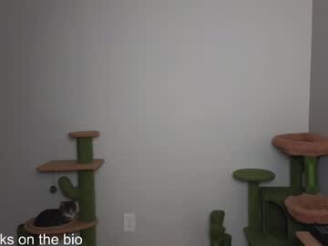 girl
        alexa_dream cam image #5155501