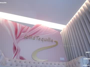 girl
        wildtequilla cam image #2438529