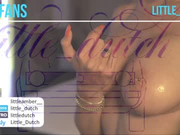 girl
        little_dutch cam image #880514