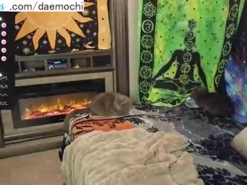 girl
        daemochi cam image #2706939