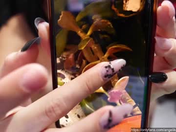 girl
        angelika_rouge cam image #191205