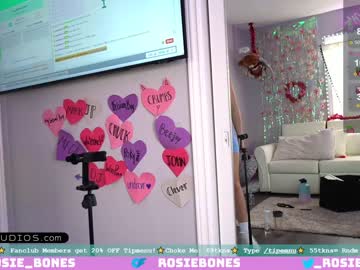 girl
        rosiebones cam image #3551942