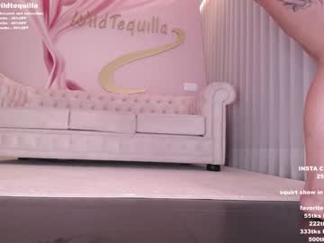 girl
        wildtequilla cam image #859996