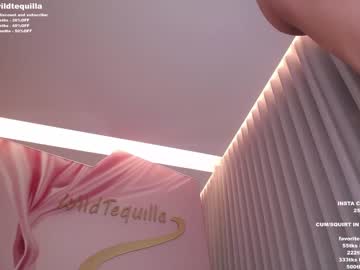 girl
        wildtequilla cam image #651798