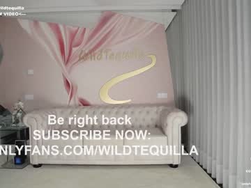 girl
        wildtequilla cam image #2546294