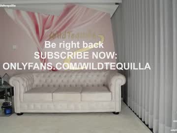 girl
        wildtequilla cam image #2194752