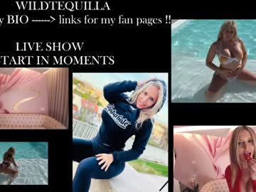 girl
        wildtequilla cam image #6613545