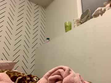 girl
        vcielia cam image #3589004