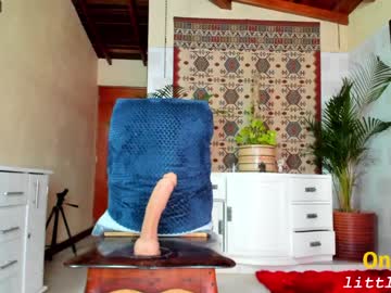 girl
        little_izzi cam image #1412602