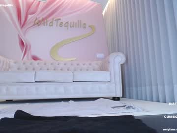 girl
        wildtequilla cam image #2108792