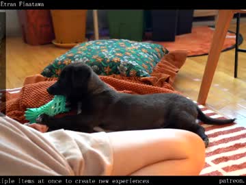 girl
        ms_dira cam image #6480444