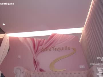 girl
        wildtequilla cam image #349280