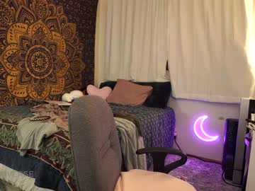 girl
        laylas_universe cam image #4833620